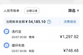 西和西和讨债公司服务