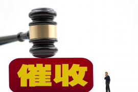 西和为什么选择专业追讨公司来处理您的债务纠纷？